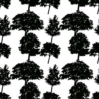 EPS 해외이미지 나무 식물 디자인 계절 실루엣 백그라운드 단풍 낙엽 잎 꽃무늬 패턴 일러스트 자연 벽지 목재 장식 초록색 환경 봄 성장 나뭇가지 직물 숲 스케치 포장지 그림 손그림 내추럴 미루나무 생태학 해외202009 해외일러스트 교육 꽃 컬러 무늬 재료 포장 촬영기법 미술 생태계 파일형식 벡터