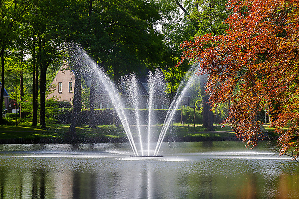 포토 JPG 해외이미지 나무 공원 유럽 잎 자연 풍경 사람없음 야외 목재 물 여름 강 반사 정원 새벽 젖음 가을 분수 네덜란드 바로크 해외202009 해외포토 자연요소 식물 계절 공공시설 나라 재료 생태계 파일형식