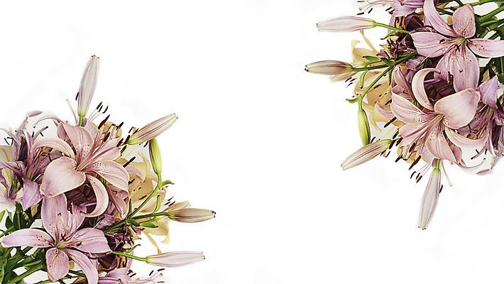 포토 JPG 해외이미지 식물 템플릿 디자인 계절 꽃잎 꽃 꽃다발 결혼 백그라운드 컨셉 잎 꽃무늬 휴가 프레임 발렌타인데이 선물 사랑 사람없음 장식 정원 보라색 축제 낭만 흰색 축하 신용카드 생일 개화 정상 배열 꽃집 심볼 2월 구성 파스텔톤 힙스터 국경 해외202009 해외포토 패션 기념일 감정 컬러 무늬 데이이벤트 이벤트 금융 상점 날짜 파일형식