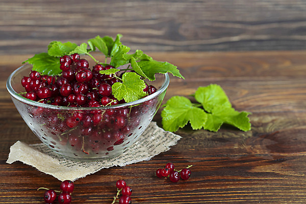 포토 JPG 해외이미지 나무 식물 그릇 계절 열매 음료 음식 줄기 백그라운드 잎 과일 자연 건강 요리 사람없음 빨간색 주스 추위 수확 나뭇가지 신선 맛 숲 잼 설탕 자르기 다발 굽기 수집 유기농 시골집 젤리 이익 내추럴 건포도 맛있는 해외202009 해외포토 식기 웰빙 컬러 컨셉 농업 모션 포도 디저트 주택 소스_음식 구이 생태계 건과일 파일형식