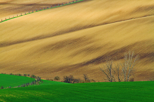 포토 JPG 해외이미지 나무 유럽 야생동물 여행 밭 자연 벽지 휴가 파노라마 그림자 사람 풍경 사람없음 야외 초록색 여름 컬러풀 태양 와인 맑음 놀람 봄 산책로 언덕 만족 그림 지역 체코 남쪽 공화국 토스카나 해외202009 해외포토 자연요소 식물 동물 계절 감정 나라 길 컬러 농업 날씨 주류 촬영기법 표정 이탈리아 방향 생태계 파일형식