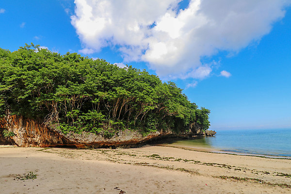 포토 JPG 해외이미지 나무 구름 아시아 모래 파도 바다 섬 여행 백그라운드 자연 조류 하늘 아침 휴가 풍경 사람없음 물 여름 파란색 태양 일출 일몰 서핑 발리 인도네시아 이국적 해외202009 해외포토 주간 자연요소 식물 동물 계절 나라 컬러 노을 수상스포츠 생태계 파일형식