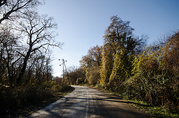 포토 JPG 해외이미지 나무 식물 구름 계절 공원 도로 길 여행 백그라운드 잎 자연 아침 날씨 산 그림자 풍경 사람없음 야외 목재 초록색 여름 빛 햇빛 태양 환경 일몰 안개 가을 소나무 숲 신비 장면 공상 상록수 마법 내추럴 뿌연 아제르바이잔 해외202009 해외포토 주간 자연요소 공공시설 나라 컬러 컨셉 재료 교통시설 노을 생태계 파일형식