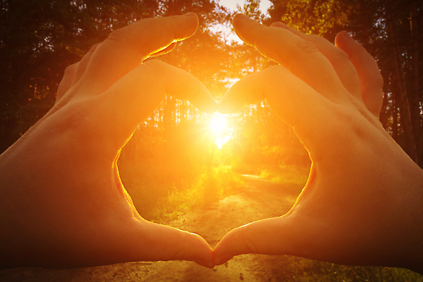 포토 JPG 해외이미지 식물 자연 풍경 사람없음 여름 햇빛 태양 일몰 저녁 해외202009 해외포토 자연요소 계절 노을 야간 생태계 파일형식