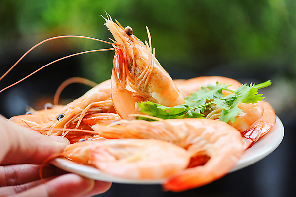 포토 JPG 해외이미지 접시 음식 바다 백그라운드 다이어트 조개 새우 건강 마늘 요리 사람 사람없음 목재 빨간색 금속 식당 식사 저녁식사 튀김 흰색 신선 호랑이 맛 그릴 바비큐 왕 굽기 지중해 먹기 해산물 서비스 메뉴 준비 유기농 날것 후추 점심식사 맛있는 해외202009 해외포토 나무 식기 웰빙 컬러 컨셉 채소 재료 포유류 모션 재질 주방용품 어패류 갑각류 상점 구이 향신료 파일형식