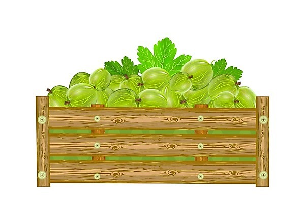 EPS 해외이미지 디자인 배너 열매 음료 음식 백그라운드 잎 농업 과일 일러스트 간판 목재 초록색 여름 상자 농장 라벨 정원 주스 수확 화물 흰색 시골 신선 시장 널 정상 나무상자 컨테이너 잼 오브젝트 사인 유기농 패키지 흙더미 고립 목판화 바이오 숙성 엘리먼트 활자 현실 해외202009 해외일러스트 나무 식물 웰빙 계절 산업 컬러 재료 프레임 흙 운송업 소스_음식 활자판 파일형식 벡터 더미