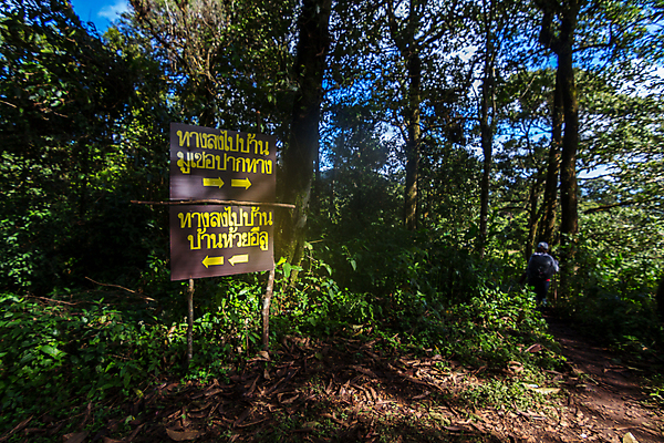 포토 JPG 해외이미지 구름 공원 아시아 여행 백그라운드 밭 태국 자연 하늘 아침 산 풍경 초원 사람없음 야외 초록색 파란색 햇빛 태양 일출 환경 계곡 안개 숲 땅 언덕 내추럴 수평선 해외202009 해외포토 주간 자연요소 공공시설 나라 컬러 농업 날씨 노을 생태계 파일형식