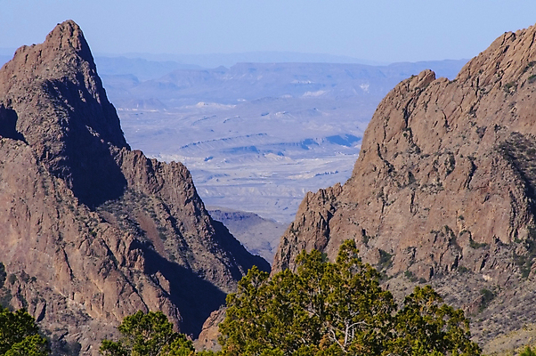 포토 JPG 해외이미지 나무 식물 공원 꽃 야생동물 분홍색 여행 백그라운드 북아메리카 겨울 꽃무늬 과일 자연 날씨 선인장 건조 풍경 사람없음 초록색 컬러풀 세계 미국 사막 뜨거움 숲 척추 내추럴 전국 텍사스 해외202009 해외포토 동물 계절 공공시설 컬러 무늬 뼈 아메리카 생태계 파일형식
