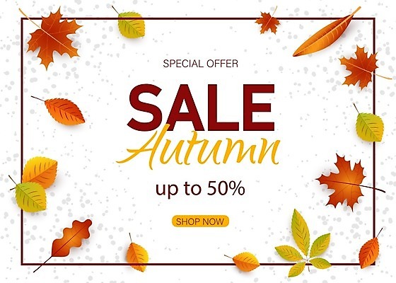 EPS 해외이미지 나무 식물 디자인 배너 계절 백그라운드 단풍 낙엽 잎 꽃무늬 패턴 오렌지 일러스트 자연 그래픽 장식 빨간색 갈색 노란색 라벨 세일 상점 가을 나뭇가지 황금 떨어짐 밤 가격 9월 11월 수집 심볼 오브젝트 그림 자작나무 타입 정맥 10월 고립 그런지 국경 해외202009 해외일러스트 꽃 컬러 컨셉 무늬 과일 프레임 견과류 날짜 생태계 혈관 파일형식 벡터