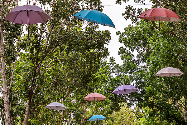 포토 JPG 해외이미지 나무 식물 전통 손 아시아 문화 여행 백그라운드 컨셉 패턴 오렌지 우산 태국 자연 휴가 거리 매달리기 미술 동양인 풍경 사람없음 야외 장식 초록색 파란색 빛 컬러풀 정원 맑음 축제 축하 숲 머리위 내추럴 핸드메이드 스타일 해외202009 해외포토 나라 컬러 무늬 과일 모션 날씨 문화예술 인종 신체부위 생태계 파일형식