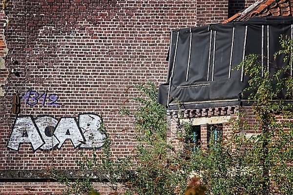 포토 JPG 해외이미지 벽 벽돌 미술 사람없음 그래피티 해외202009 해외포토 문화예술 낙서 그림 파일형식