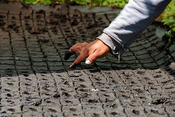 포토 JPG 해외이미지 식물 전통 남자 문화 지구 잎 밭 농업 자연 아침 씨앗 사람 풍경 사람없음 여름 농작물 농장 새싹 일출 환경 정원 흙 봄 수확 성장 시골 신선 작업 농부 유기농 원예 질감 조경 먼지 장면 땅바닥 모종 묘목 밭일 해외202009 해외포토 주간 나무 직업 웰빙 계절 산업 바닥 취미 노을 생태계 파일형식