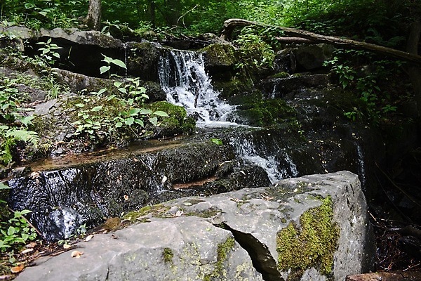 포토 JPG 해외이미지 나무 잎 모션 자연 산 이끼 풍경 사람없음 초록색 물 여름 강 평화 힘 폭포 젖음 흐름 탐험 가을 바위 신선 개울 떨어짐 숲 작음 속도 분무기 해외202009 해외포토 자연요소 식물 계절 컬러 컨셉 돌_바위 크기 생태계 파일형식