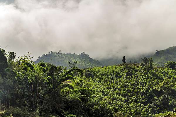 포토 JPG 해외이미지 식물 전통 아시아 문화 여행 백그라운드 농업 밥 휴가 산 안테나 동양인 풍경 사람없음 초록색 농작물 농장 마을 중국 수확 성장 농촌 시골 땅 언덕 베트남 북쪽 계단식 논밭 밭일 옛날 해외202009 해외포토 나라 산업 음식 컬러 밭 통신 논 인종 동남아시아 방향 파일형식