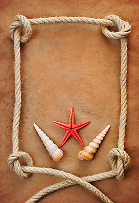 포토 JPG 해외이미지 종이 밧줄 백그라운드 불가사리 프레임 사람없음 갈색 사각형 조개껍데기 엉킴 질감 카피스페이스 해외202009 해외포토 도형 줄 컬러 조개 극피동물 공백 파일형식