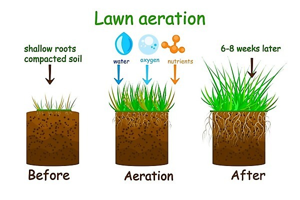 EPS 해외이미지 식물 디자인 밭 농업 일러스트 회사 자연 설명 풍경 팜플렛 잔디 초원 초록색 물 라벨 환경 정원 흙 인포그래픽 무대 플랫 디자이너 만화 서비스 흰배경 유기농 원예 조경 단계 산소 고립 땅바닥 방법 밭일 원예사 전후 해외202009 해외일러스트 자연요소 직업 웰빙 산업 컬러 백그라운드 비즈니스 모션 바닥 프레임 취미 흰색 비교 원소 생태계 파일형식 벡터