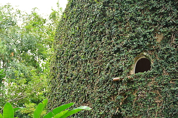 포토 JPG 해외이미지 식물 잎 건축양식 자연 주택 사람없음 초록색 덮개 나뭇가지 해외202009 해외포토 나무 건축 컬러 건물 뚜껑 생태계 파일형식