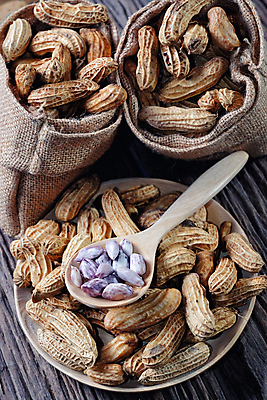 포토 JPG 해외이미지 식물 음식 백그라운드 농업 다이어트 재료 자연 탁자 콩 바닥 건조 건강 요리 씨앗 사람없음 목재 파란색 갈색 주방 견과류 수확 껍질 직물 바 선택 굽기 먹기 유기농 완두콩 땅콩 내추럴 단백질 채식주의자 해외202009 해외포토 나무 웰빙 산업 컬러 가구 컨셉 모션 곡류 구이 생태계 채식 영양소 파일형식