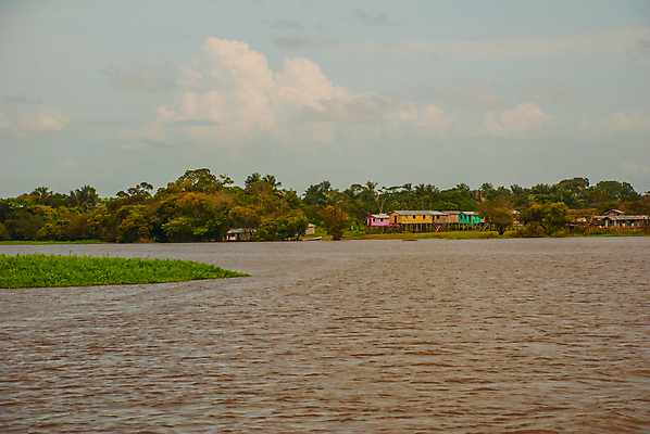 포토 JPG 해외이미지 나무 식물 백그라운드 잎 자연 하늘 주택 손바닥 풍경 사람없음 초록색 물 여름 파란색 강 환경 미국 봄 흐름 보트 개울 행운 남아메리카 보호 숲 오두막 열대우림 지역 브라질 남쪽 아마존 브라질사람 해외202009 해외포토 자연요소 손 계절 컬러 컨셉 북아메리카 배_교통 아메리카 건물 방향 생태계 파일형식