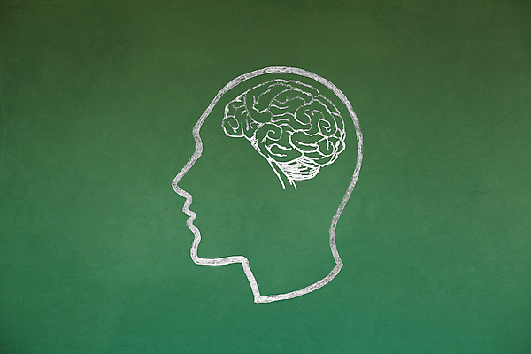 포토 JPG 해외이미지 학생 디자인 교육 백그라운드 컨셉 비즈니스 전구 학교 성공 아이디어 창조 사람 사람없음 빛 머리 칠판 에너지 선택 계획 대표 질문 스케치 심볼 뇌 그림 분필 해결 혁명 지능 브레인스토밍 해외202009 해외포토 미술 신체부위 초크 파일형식