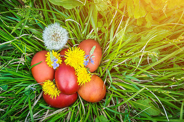 포토 JPG 해외이미지 식물 전통 계절 꽃 행복 종교 백그라운드 꽃무늬 자연 휴가 부활절 아이디어 이벤트 사람없음 야외 장식 초록색 컬러풀 햇빛 바구니 정원 맑음 축제 봄 활발 축하 신선 그리기 그룹 4월 수집 심볼 부활절계란 해외202009 해외포토 기념일 감정 컬러 컨셉 무늬 모션 날씨 태양 계란 날짜 생태계 파일형식