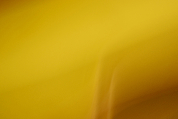 포토 JPG 해외이미지 디자인 종이 백그라운드 패턴 벽지 추상 프레임 미술 사람없음 빛 갈색 우주 수확 흰색 질감 복고 부드러움 그런지 세피아 옛날 해외202009 해외포토 컬러 무늬 농업 문화예술 촬영기법 감각 파일형식