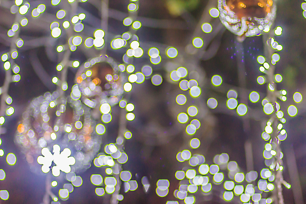 포토 JPG 해외이미지 나무 계절 리본 분홍색 백그라운드 크리스마스 패턴 추상 휴가 불꽃 전등 조명 새로움 기념 사람없음 장식 빛 컬러풀 흰색 축하 눈송이 화려 은색 야간 소프트포커스 12월 연도 질감 보케 광 노엘 블러 폭설 크리스마스배경 해외202009 해외포토 자연요소 식물 기념일 컬러 컨셉 무늬 불 눈_날씨 촬영기법 날짜 자연재해 파일형식