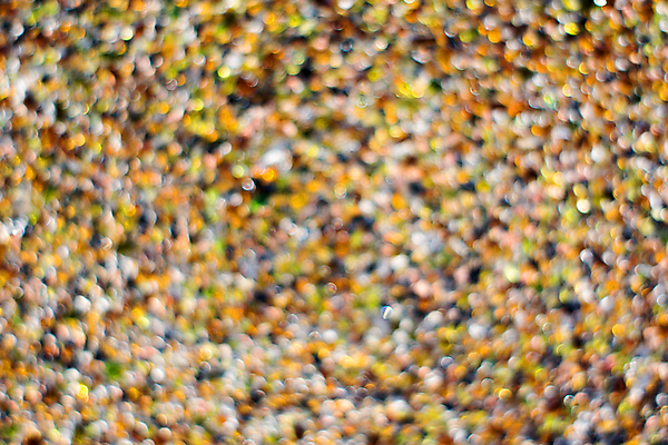 포토 JPG 해외이미지 백그라운드 사람없음 반짝임 컬러풀 소프트포커스 보케 내추럴 해외202009 해외포토 컬러 모션 촬영기법 파일형식