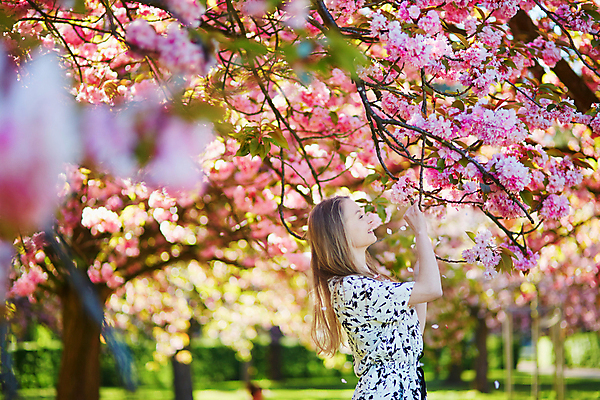 포토 JPG 해외이미지 나무 백인 긴머리 계절 공원 여자 꽃잎 꽃 행복 유럽 자연 한명 사람 성인 야외 금발 햇빛 정원 봄 벚꽃 흰색 시골 개화 체리 긍정 꽃가루 내추럴 알레르기 해외202009 해외포토 서양인 식물 1 헤어스타일 공공시설 감정 나라 컬러 컨셉 과일 태양 질병 가루 생태계 파일형식
