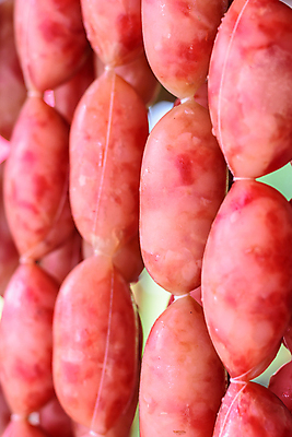 포토 JPG 해외이미지 전통 음식 다이어트 태국 요리 동양인 사람없음 식사 소시지 날것 지역 해외202009 해외포토 아시아 건강 인종 가공식품 파일형식