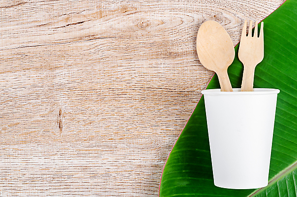 포토 JPG 해외이미지 잎 근접촬영 사람없음 환경 재활용 종이컵 일회용 나무숟가락 나무포크 해외202009 해외포토 식물 뷰포인트 포크 컵 숟가락 친환경 파일형식