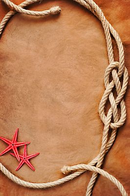 포토 JPG 해외이미지 종이 밧줄 백그라운드 불가사리 사람없음 갈색 엉킴 질감 카피스페이스 해외202009 해외포토 줄 컬러 극피동물 공백 파일형식