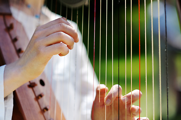 포토 JPG 해외이미지 1 손 여자 줄 음악 결혼 손가락 놀이 기술 관리 사람 사람없음 검은색 소리 콘서트 음악가 낭만 흰색 기구 기타 손톱 묘사 천국 시트 오케스트라 멜로디 뮤지컬 플레이어 스타일 해외202009 해외포토 직업 컬러 컨셉 현악기 문화예술 이벤트 신체부위 공연 악단 파일형식