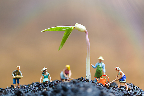 포토 JPG 해외이미지 밭 농업 사람없음 새싹 미니어처 농부 밭일 해외202009 해외포토 식물 직업 산업 모형 파일형식