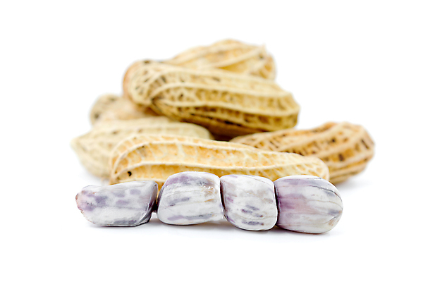 포토 JPG 해외이미지 아시아 음식 백그라운드 재료 태국 자연 콩 건강 씨앗 동양인 사람없음 갈색 견과류 껍질 흰색 신선 그룹 맛 수증기 유기농 질감 땅콩 내추럴 단백질 삶기 맛있는 해외202009 해외포토 식물 웰빙 나라 컬러 컨셉 곡류 인종 생태계 영양소 파일형식