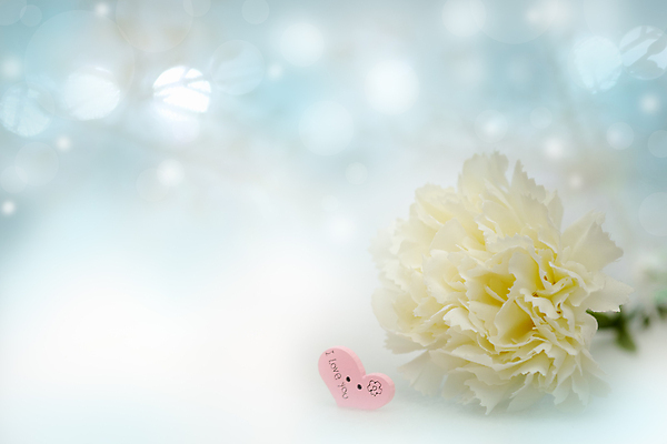 포토 JPG 해외이미지 모양 디자인 꽃 분홍색 백그라운드 컨셉 의자 추상 휴가 발렌타인데이 사랑 사람없음 장식 빨간색 단어 빛 햇빛 낭만 흰색 하트 축하 신용카드 달콤 심볼 카네이션 질감 보케 2월 블러 해외202009 해외포토 식물 문자 감정 컬러 가구 무늬 데이이벤트 금융 태양 날짜 맛 파일형식