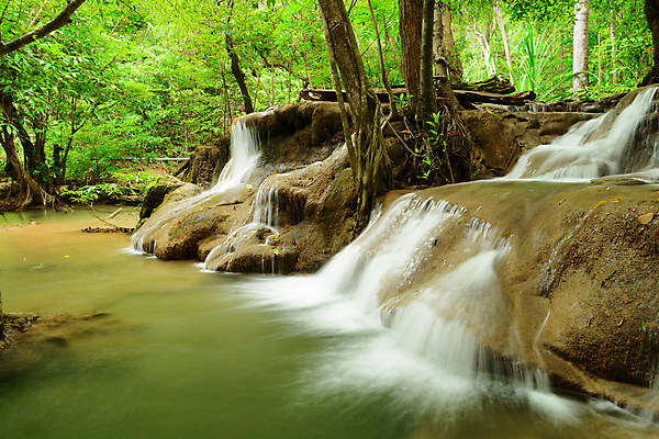 포토 JPG 해외이미지 식물 잎 모션 태국 자연 산 국립공원 풍경 사람없음 초록색 물 폭포 젖음 흐름 가을 개울 숲 시원함 열대우림 내추럴 깊이 해외202009 해외포토 자연요소 계절 공원 아시아 컬러 컨셉 강 생태계 파일형식