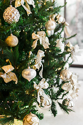 포토 JPG 해외이미지 나무 식물 전통 계절 종교 조각 백그라운드 컨셉 크리스마스 비즈니스 공 창문 자연 휴가 전등 새로움 주택 선물 사람없음 장식 세로 초록색 빛 축제 흰색 축하 황금 우아함 연도 묘사 오브젝트 해외202009 해외포토 기념일 컬러 조명 건물 생태계 파일형식