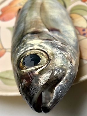 포토 JPG 해외이미지 동물 접시 음식 바다 다이어트 재료 낚시 건강 육류 어류 요리 사람없음 머리 세일 상점 식당 얼음 식사 흰색 죽음 신선 잡기 입 시장 은색 먹기 해산물 날것 지느러미 내추럴 고립 단백질 소금물 송어 맛있는 해외202009 해외포토 자연요소 식기 컬러 식재료 모션 레저 신체부위 수중동물 영양소 파일형식