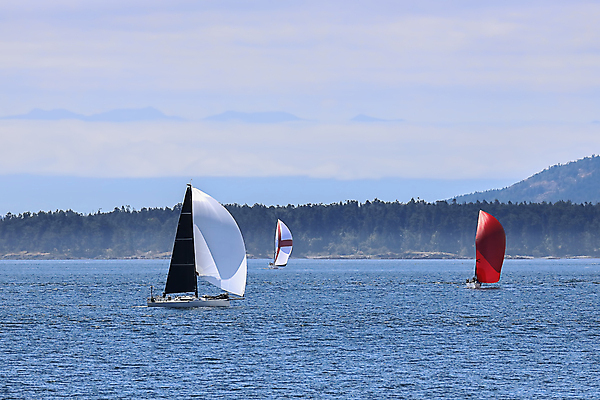 포토 JPG 해외이미지 바다 섬 여행 요트 자연 하늘 산 항해 풍경 사람없음 야외 물 여름 파란색 평화 우주 미국 흰색 보트 수로 태평양 뱃놀이 워싱턴 해외202009 해외포토 자연요소 계절 컬러 컨셉 북아메리카 배_교통 전통놀이 생태계 파일형식