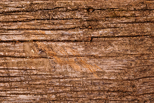 포토 JPG 해외이미지 디자인 벽 표면 바닥 사람없음 목재 장식 판넬 거친 널 질감 복고 내추럴 그런지 수목 카피스페이스 해외202009 해외포토 나무 재료 공백 파일형식