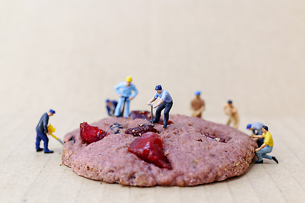 포토 JPG 해외이미지 사람없음 쿠키 미니어처 수집 해외202009 해외포토 디저트 모형 파일형식