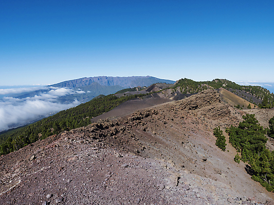 포토 JPG 해외이미지 나무 유럽 길 모래 섬 여행 백그라운드 자국 자연 하늘 산 파노라마 풍경 사람없음 빨간색 초록색 컬러풀 태양 걷기 환경 검은색 트래킹 하이킹 사막 소나무 황무지 스페인 숲 화산 분화구 용암 내추럴 로스앤젤레스 루트 해외202009 해외포토 자연요소 식물 나라 컬러 모션 레저 촬영기법 미국 생태계 파일형식