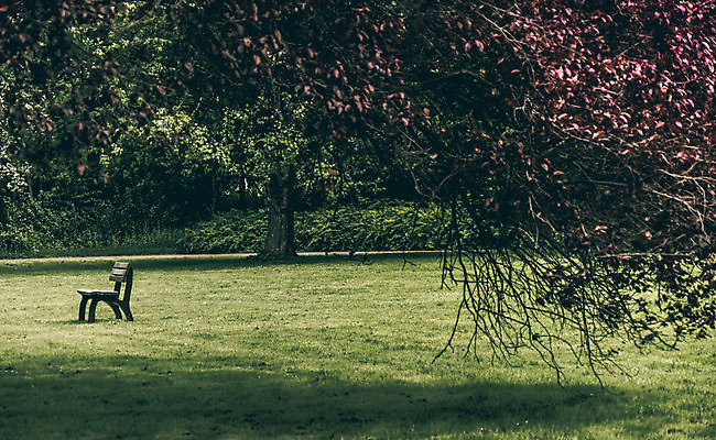 포토 JPG 해외이미지 나무 공원 잎 벤치 잔디 사람없음 목재 어둠 꿈 슬픔 죽음 좌절 큼 의심 나쁜 우울감 우울증 이혼 헬프 혼자 해외202009 해외포토 식물 공공시설 감정 컨셉 의자 재료 도움 질병 크기 파일형식