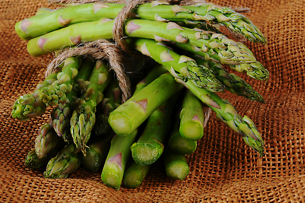 포토 JPG 해외이미지 무료이미지 줄 음식 줄기 농업 채소 사람없음 초록색 쌓기 신선 다발 묶기 삼베 유기농 아스파라거스 노끈 숙성 식용 팁 해외202009 해외202105 해외포토 식물 웰빙 산업 컬러 모션 파일형식 천_직물 무료콘텐츠
