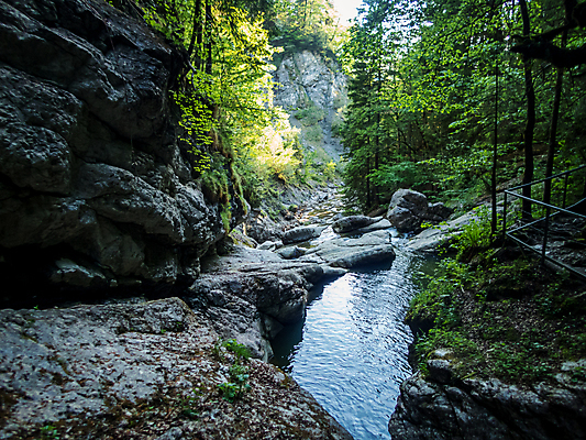 포토 JPG 해외이미지 나무 계절 여행 모션 자연 휴가 산 이끼 풍경 사람없음 야외 초록색 물 여름 파란색 골짜기 봄 폭포 하이킹 낭만 흐름 시골 개울 보호 숲 내추럴 바이에른 해외202009 해외포토 자연요소 식물 컬러 컨셉 레저 독일 강 생태계 파일형식