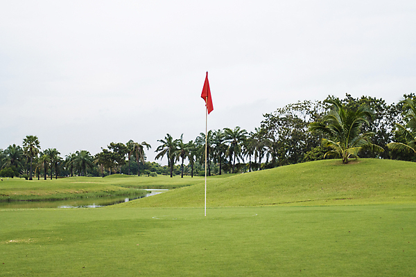 포토 JPG 해외이미지 무료이미지 직업 라이프스타일 스포츠 백그라운드 밭 골프 자연 놀이 휴식 잔디 초원 사람없음 야외 컵 초록색 운동 경쟁 운전 게임 흰색 깃발 원형 구멍 연습 슛 페어웨이 해외202009 해외202105 해외포토 도형 식물 식기 컬러 컨셉 농업 모션 건강 생활 구기 생태계 파일형식 무료콘텐츠