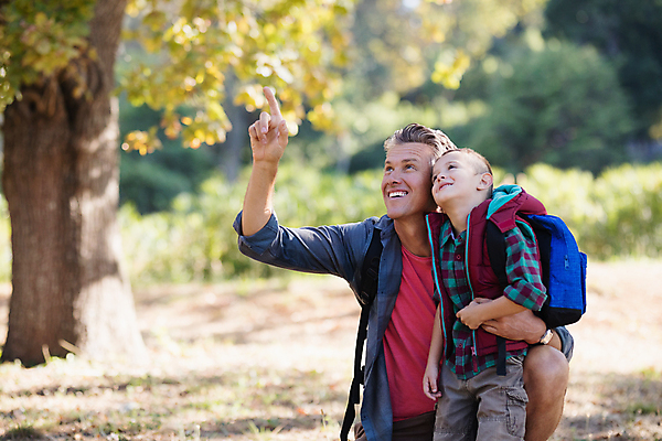 포토 JPG 해외이미지 소년 가리킴 아빠 숲 해외202009 해외포토 남자 어린이 가족 손짓 파일형식