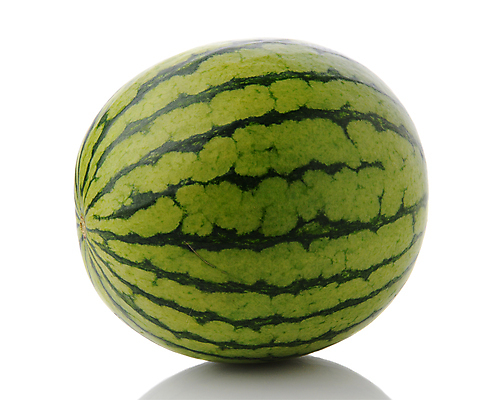 포토 JPG 해외이미지 무료이미지 음식 농업 과일 수박 사람없음 초록색 반사 껍질 흰색 신선 맛 멜론 고립 미니 맛있는 해외202009 해외202105 해외포토 산업 컬러 컨셉 파일형식