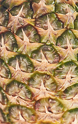 포토 JPG 해외이미지 디자인 계절 포스터 백그라운드 패턴 다이어트 과일 디저트 건강 사람없음 여름 파란색 햇빛 라벨 가을 신선 다발 질감 포도나무 패키지 고립 구성 숙성 영양분 채식주의자 비건 해외202009 해외포토 음식 컬러 무늬 프레임 태양 과일나무 채식 파일형식